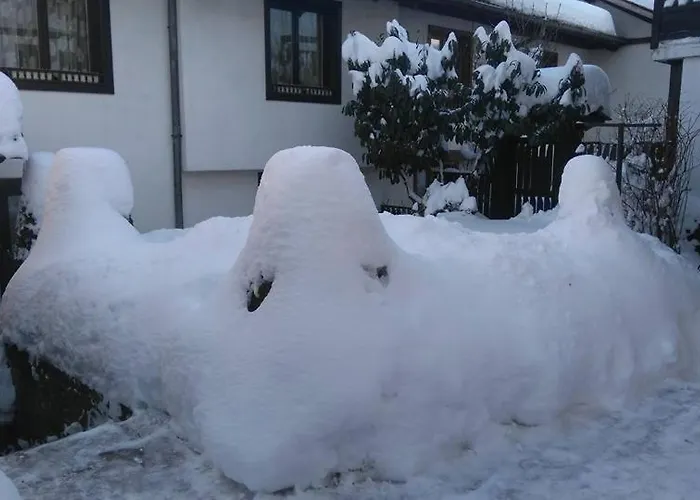 Matsureva House - Pri Ivan 게스트하우스 반스코