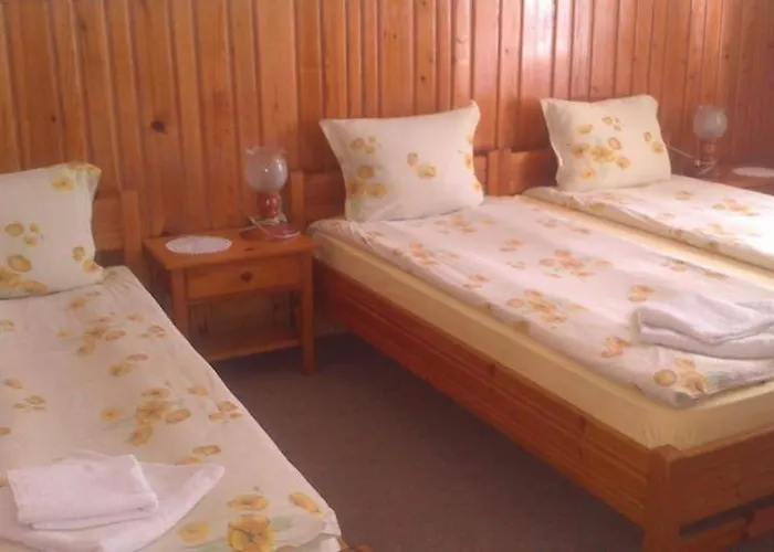 Matsureva House - Pri Ivan Casa de hóspedes Bansko